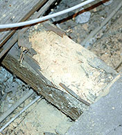 Befallene Deckenbalken